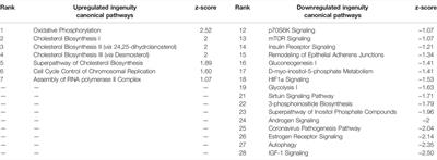 Comparative Toxicotranscriptomics of Single Cell RNA-Seq and Conventional RNA-Seq in TCDD-Exposed Testicular Tissue